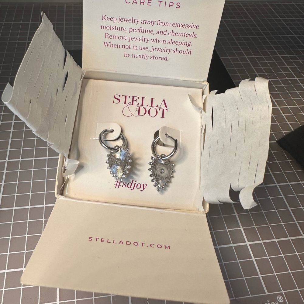 Stella & Dot Silver Statement Earrings